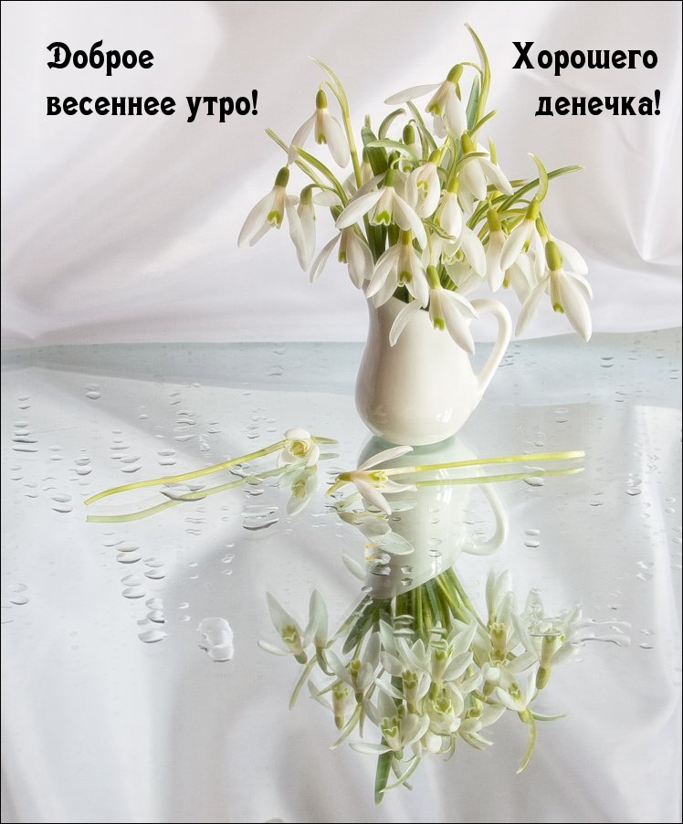 Доброе весеннее утро! Хорошего денечка!