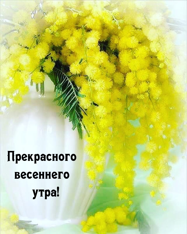 Прекрасного весеннего утра!