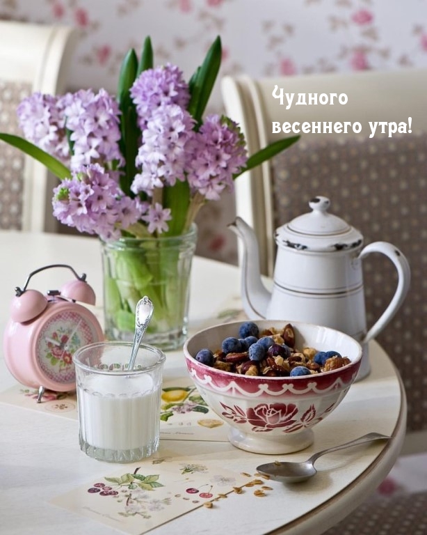 Чудного весеннего утра!