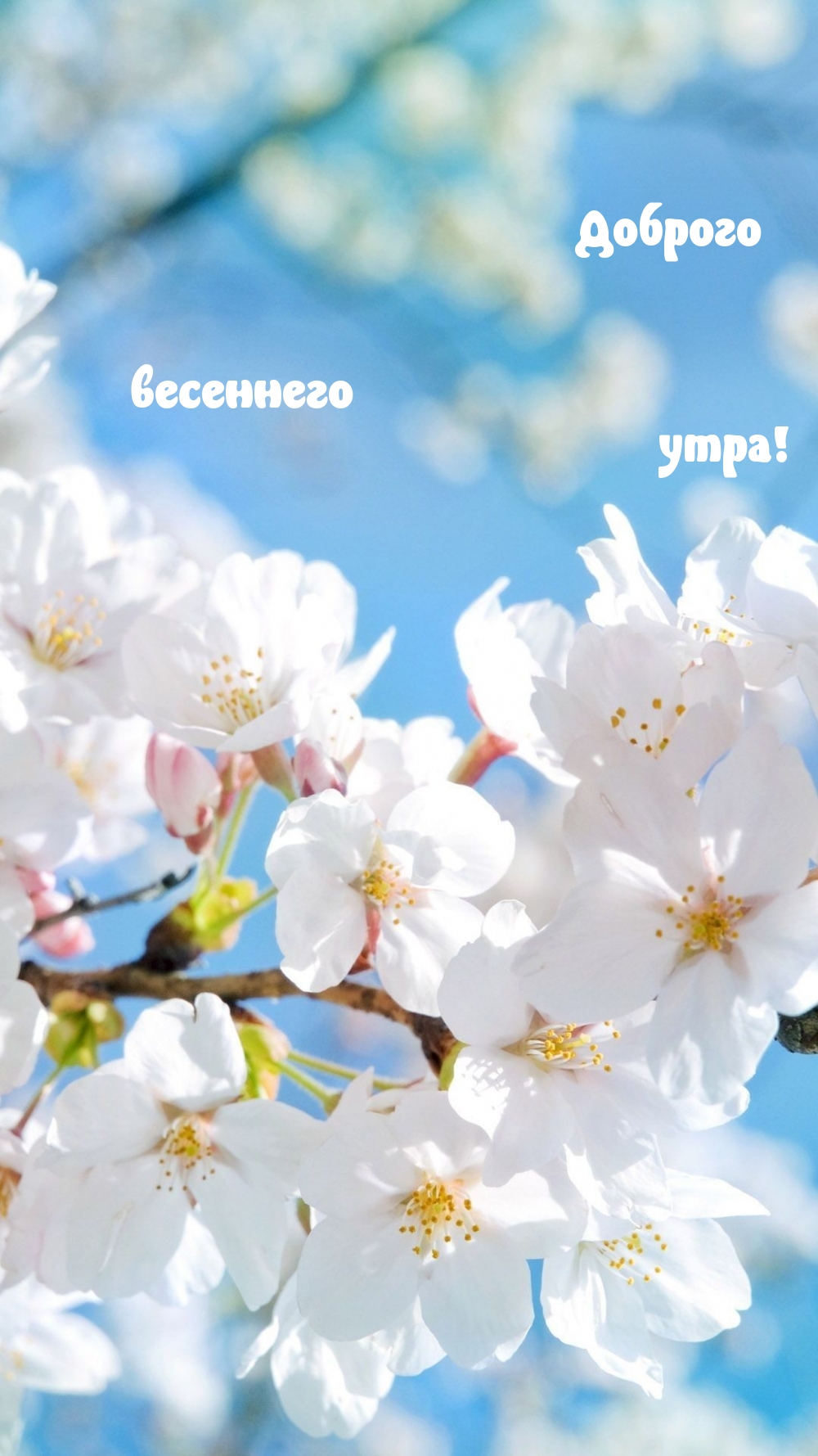 Доброго весеннего утра!