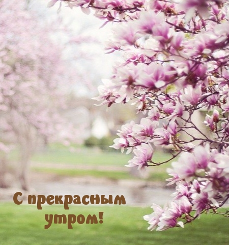 С прекрасным утром!