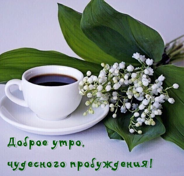 Доброе утро, чудесного пробуждения!