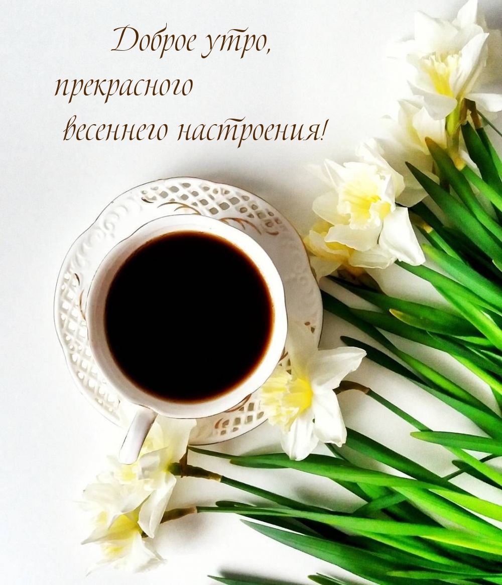 Доброе утро, прекрасного весеннего настроения!
