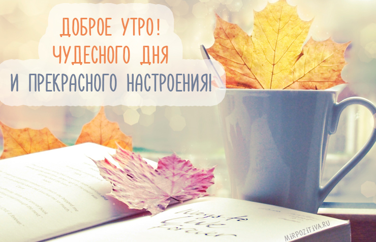 Доброе утро, чудесного дня и прекрасного настроения!