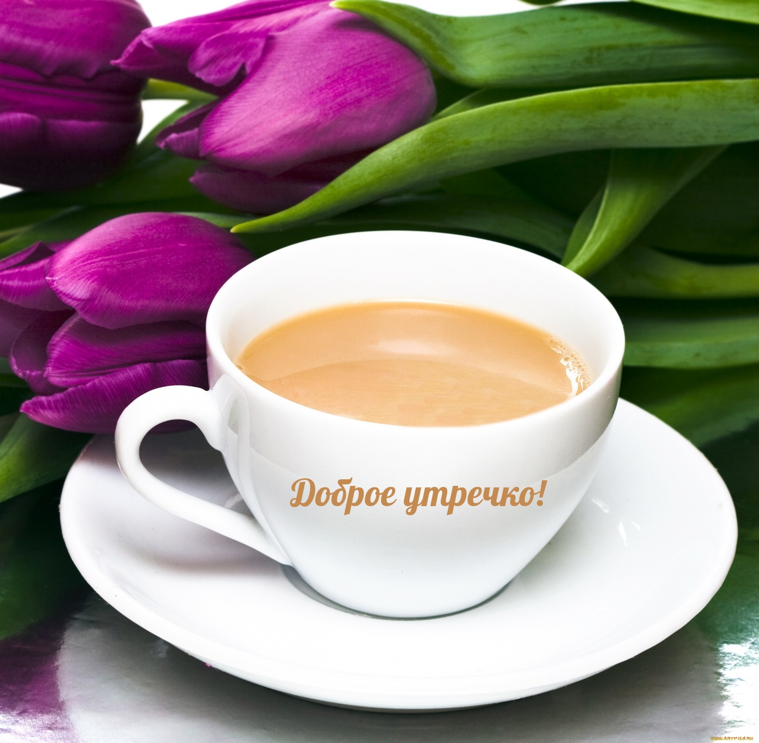 Доброе утречко!