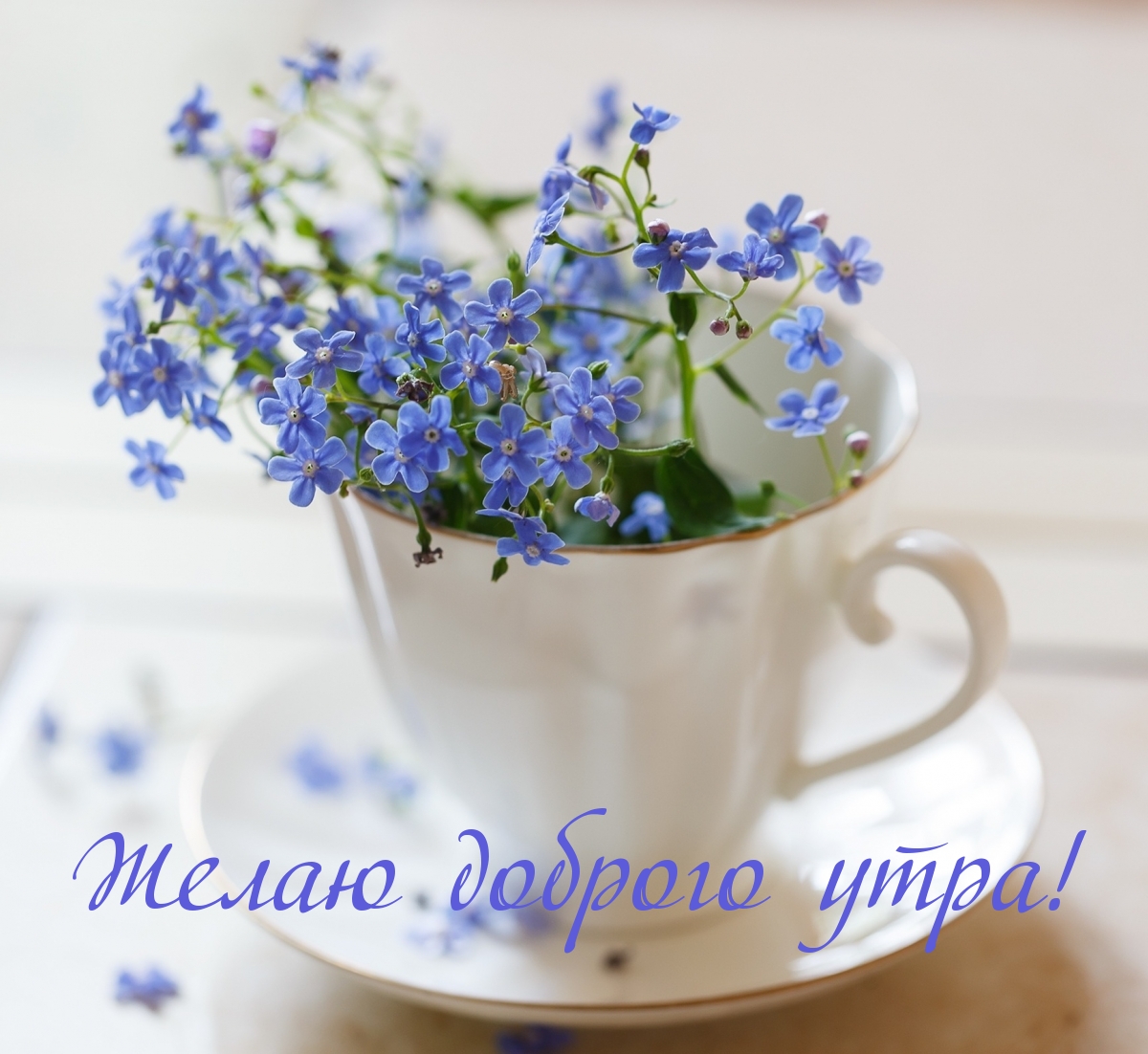 Желаю доброго утра!