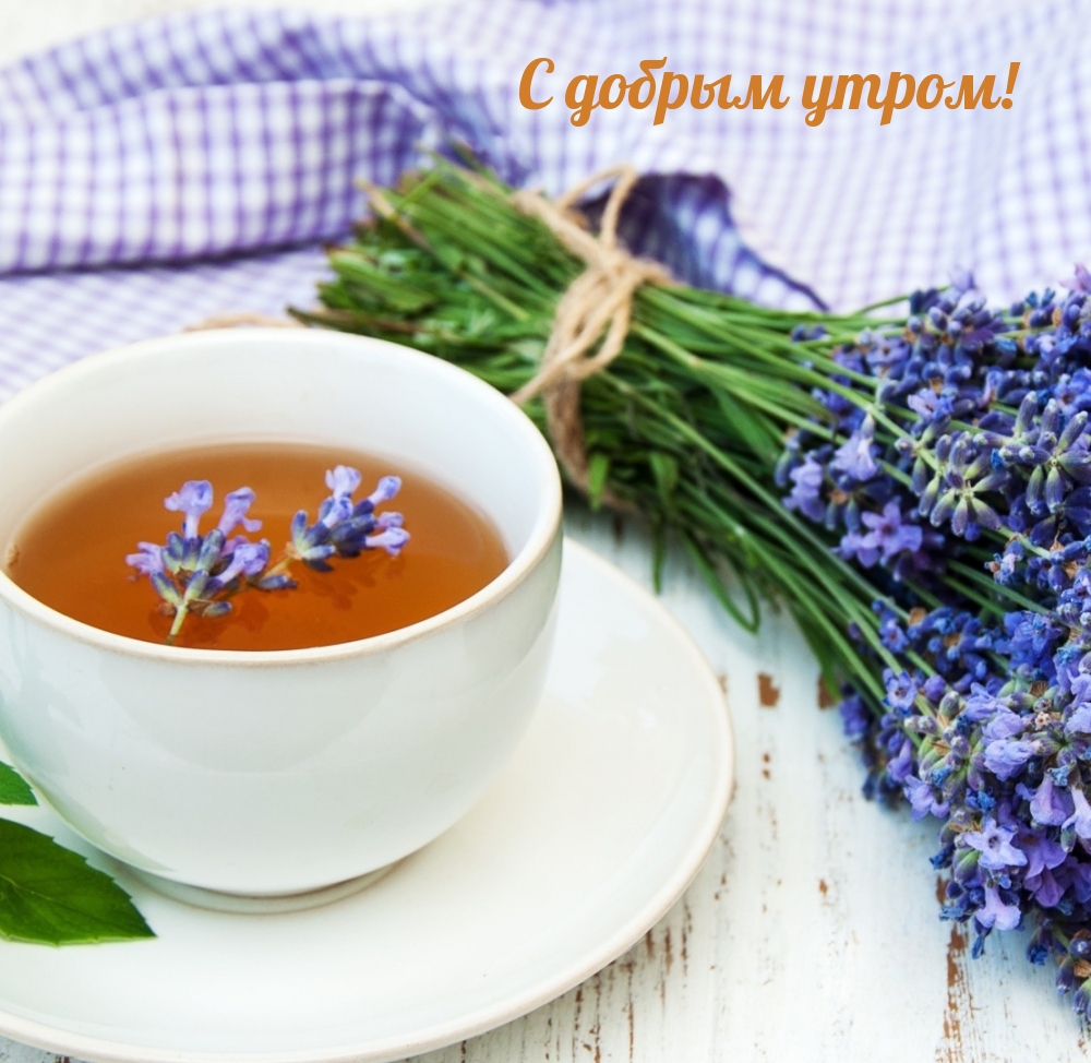 С добрым утром!