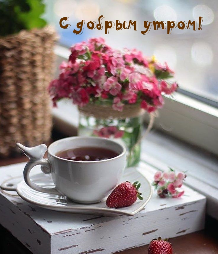 С добрым утром!