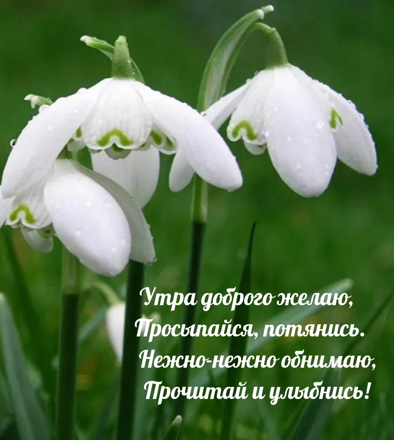 Утра доброго желаю, просыпайся, потянись.