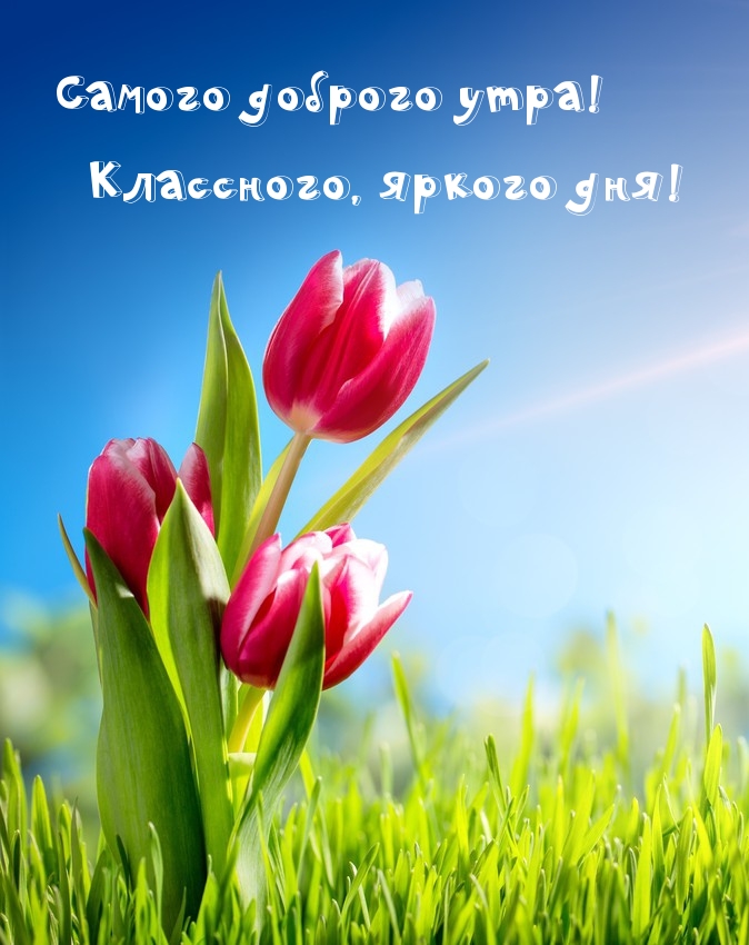 Самого доброго утра! Классного, яркого дня!
