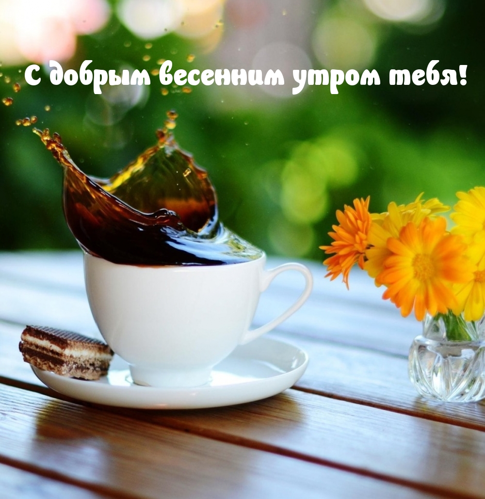 С добрым весенним утром тебя!