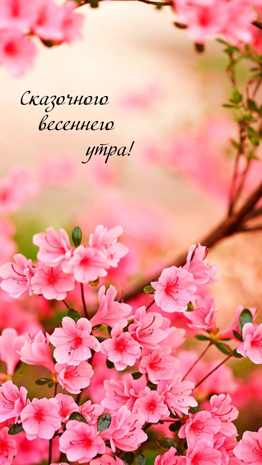 Сказочного весеннего утра!