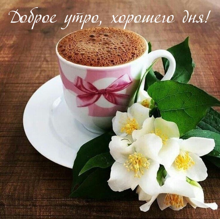 Доброе утро, хорошего дня!