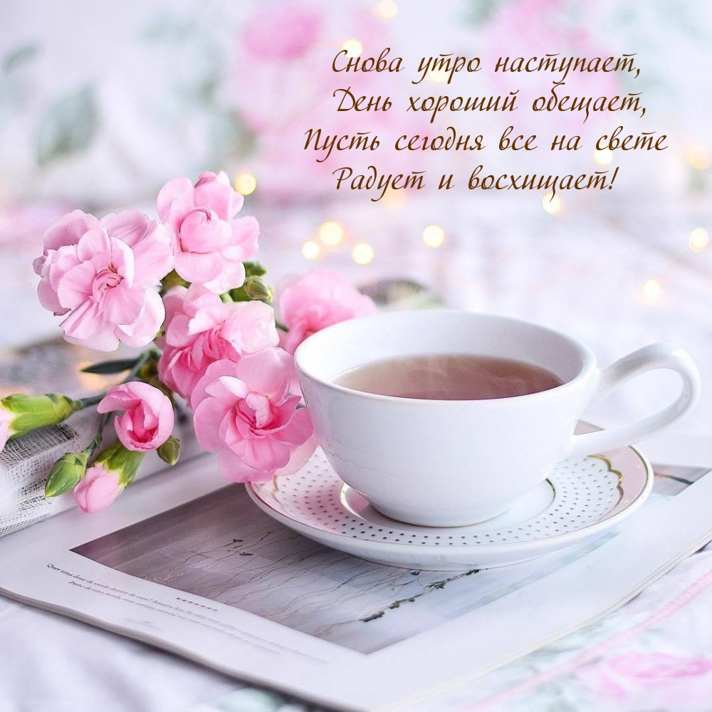 Снова утро наступает, день хороший обещает