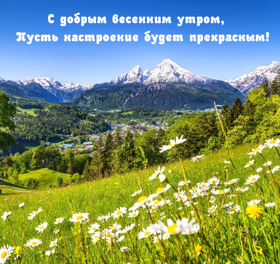 С добрым весенним утром, пусть настроение будет прекрасным!