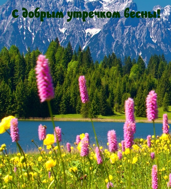 С добрым утречком весны!