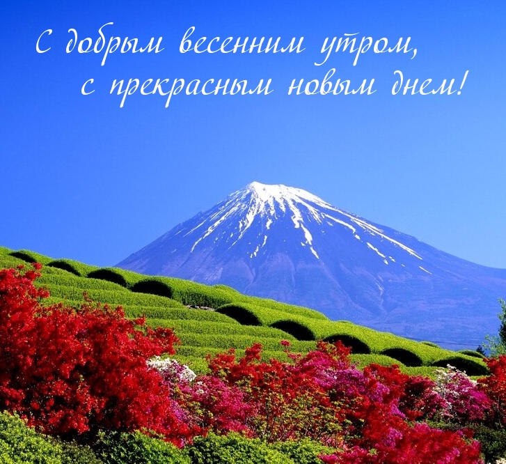 С добрым весенним утром, с прекрасным новым днем!