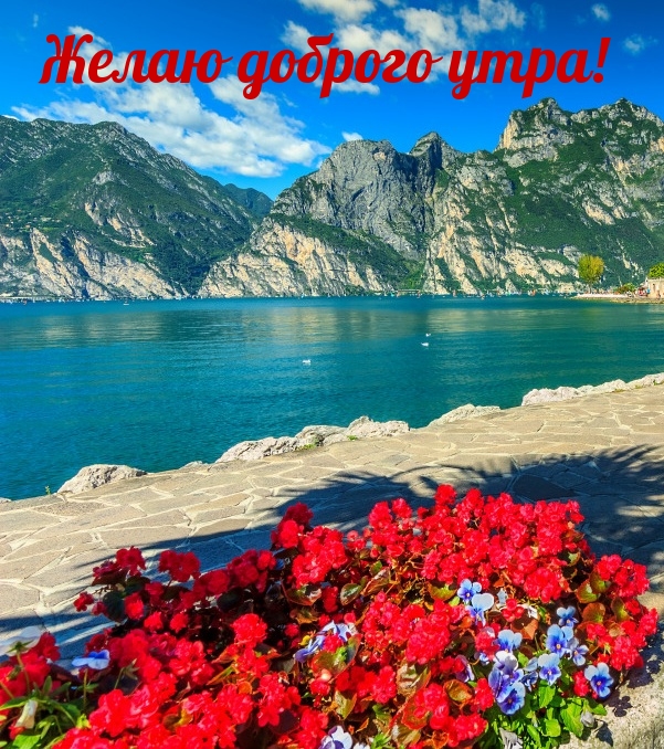 Желаю доброго утра!