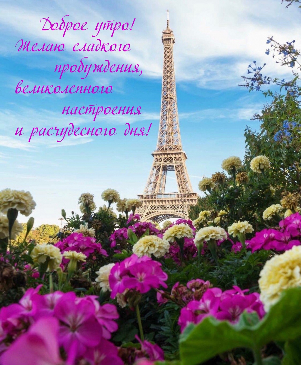Доброе утро! Желаю сладкого пробуждения