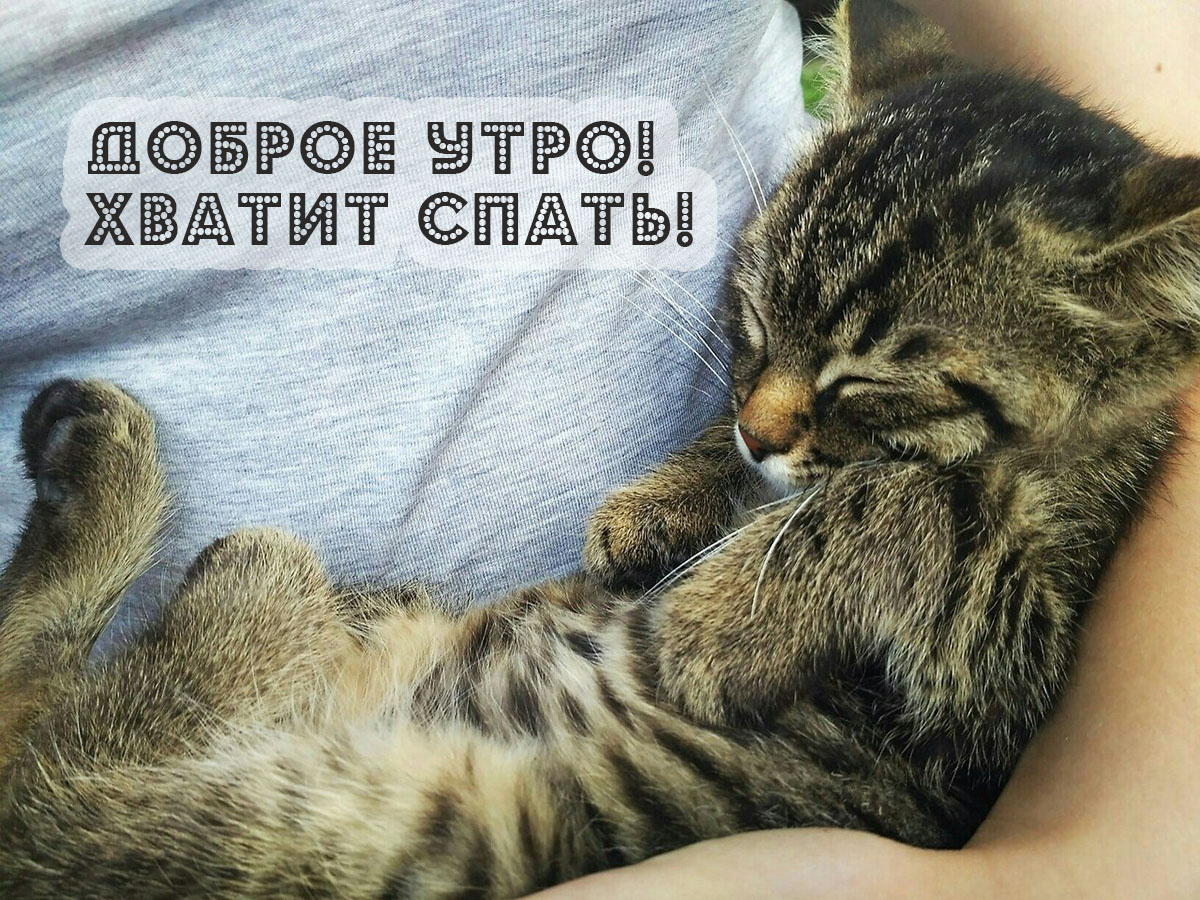 Доброе утро! Хватит спать!