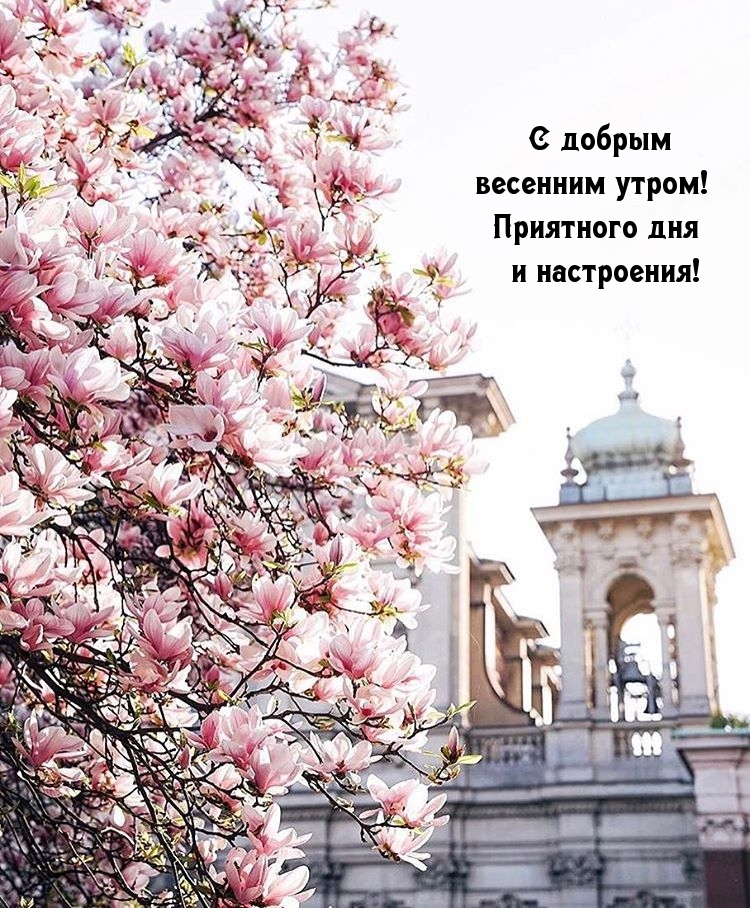 С добрым  весенним утром! Приятного дня и настроения!
