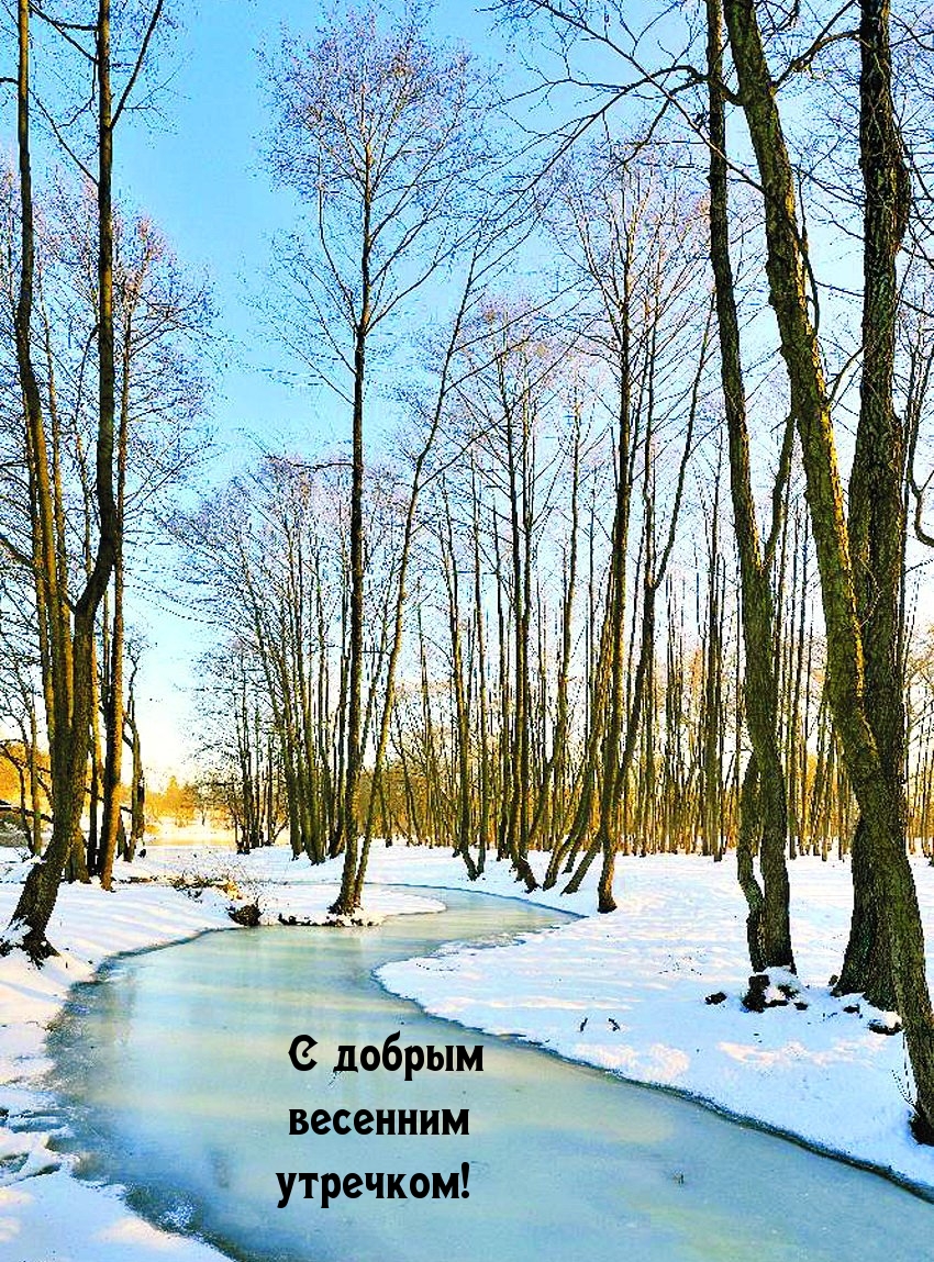 С добрым весенним утречком!