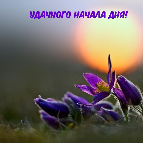 Удачного начала дня!