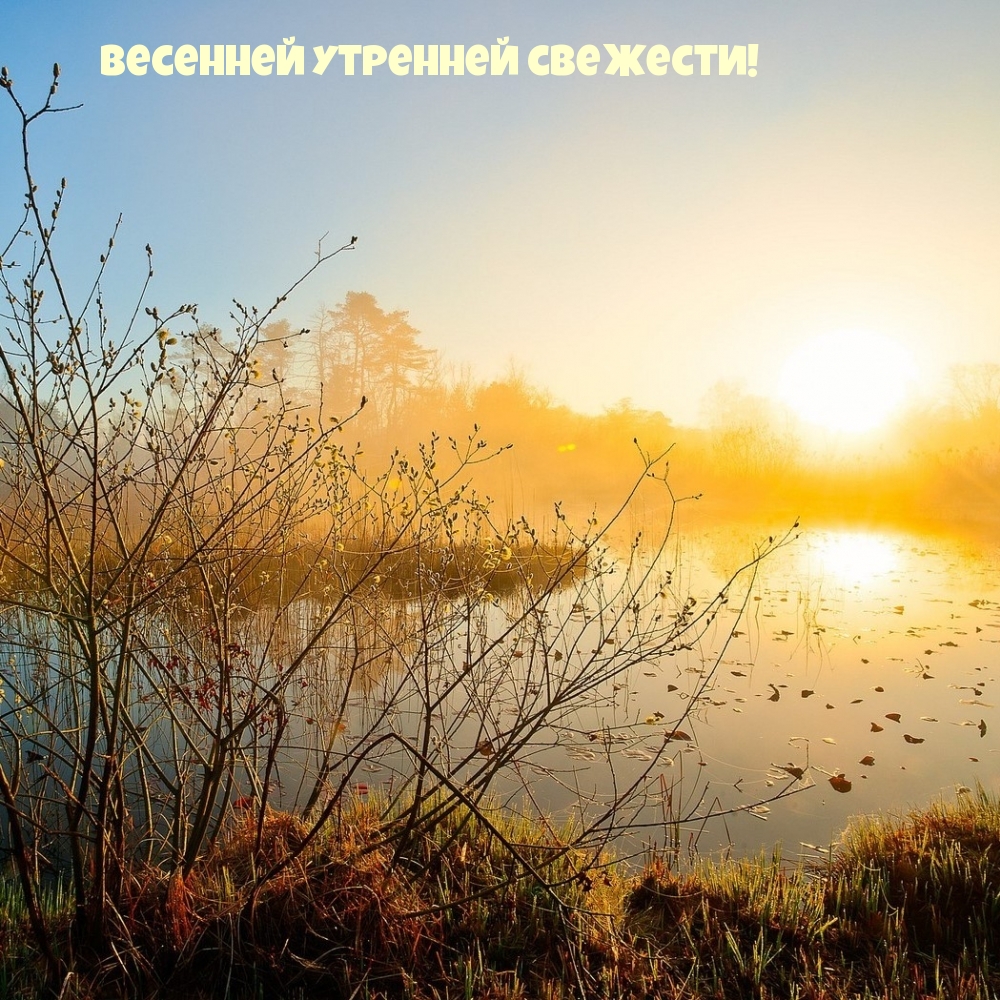 Весенней утренней свежести!
