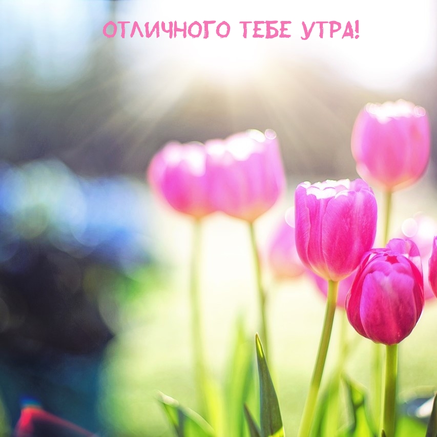 Отличного тебе утра!