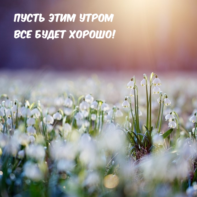 Пусть этим утром все будет хорошо!