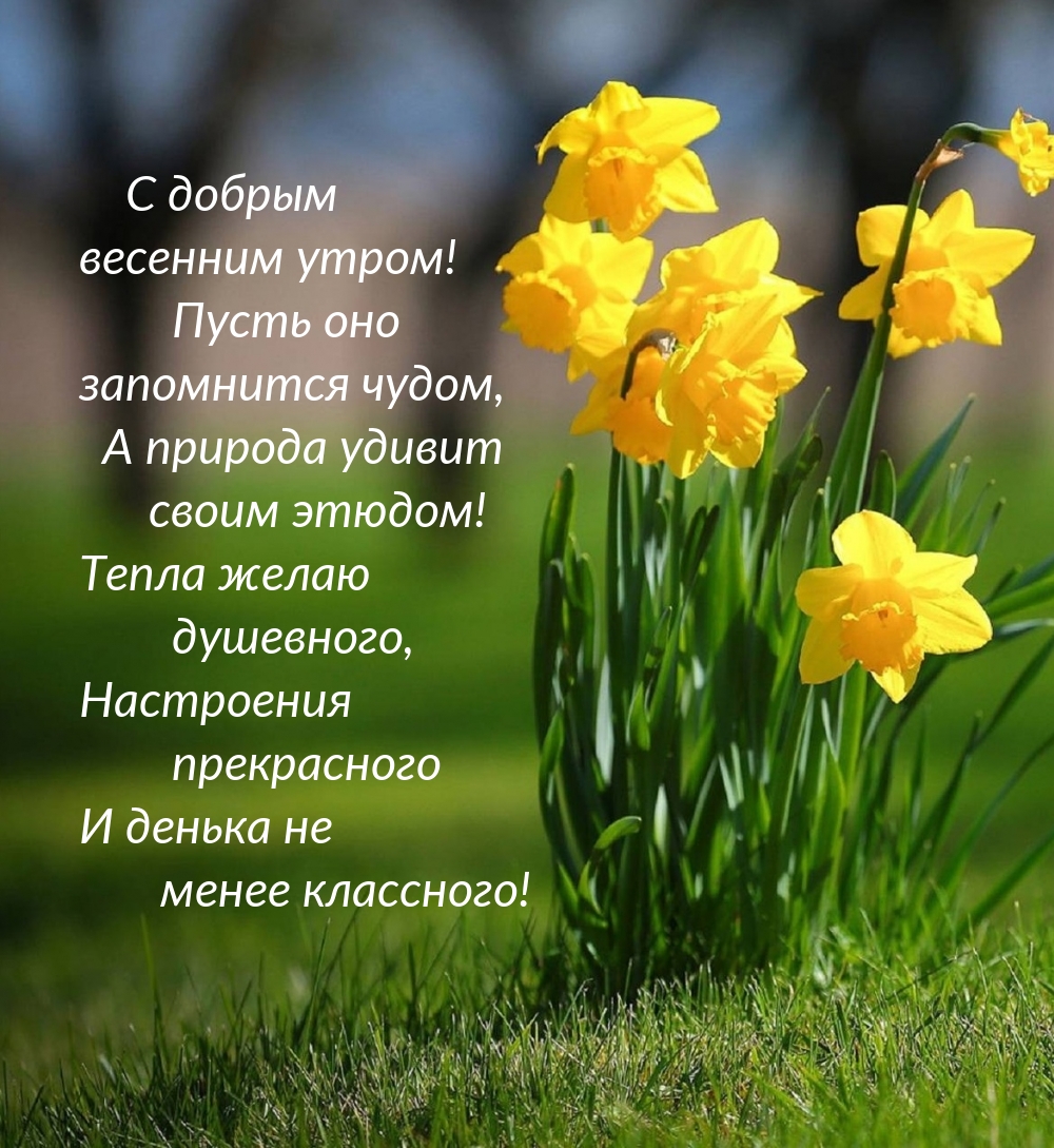 С добрым весенним утром! Пусть оно запомнится чудом