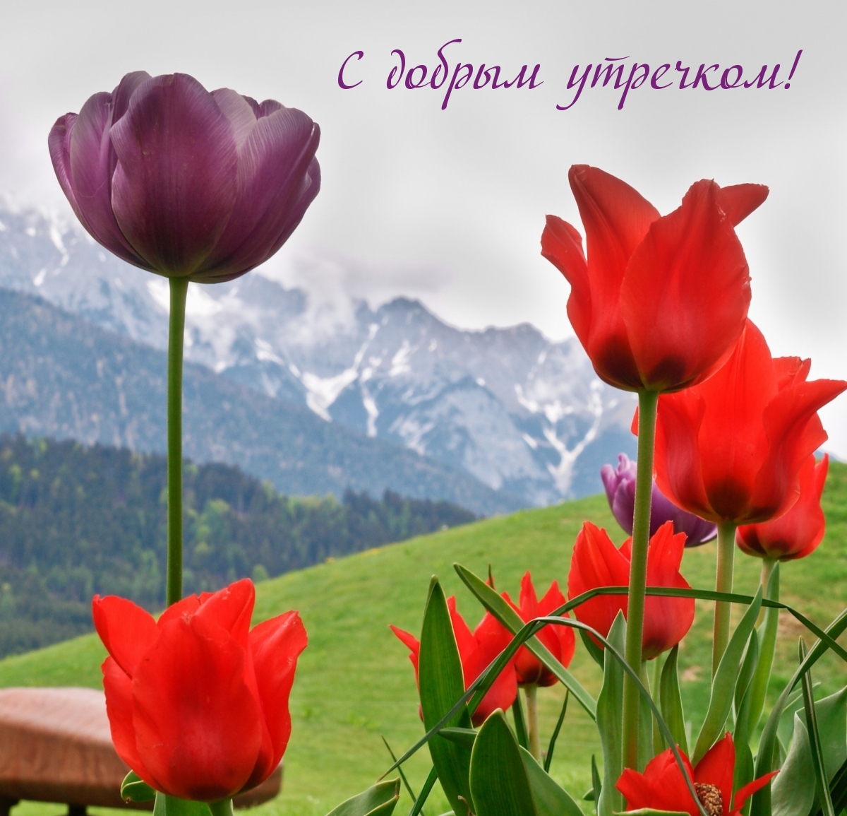 С добрым утречком!
