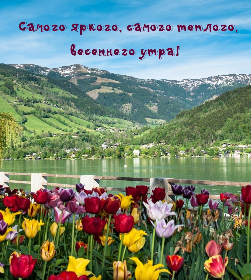 Самого яркого, самого теплого, весеннего утра!