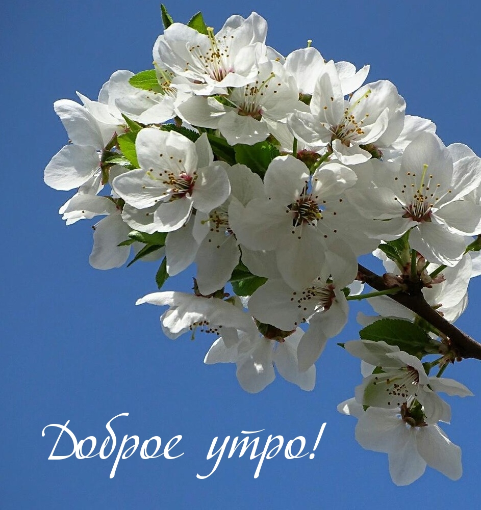 Доброе утро!