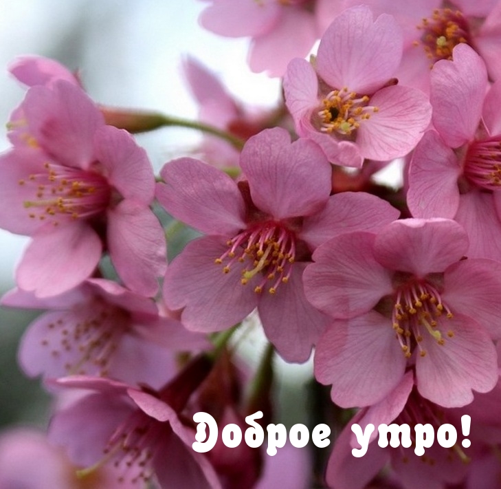 Доброе утро!