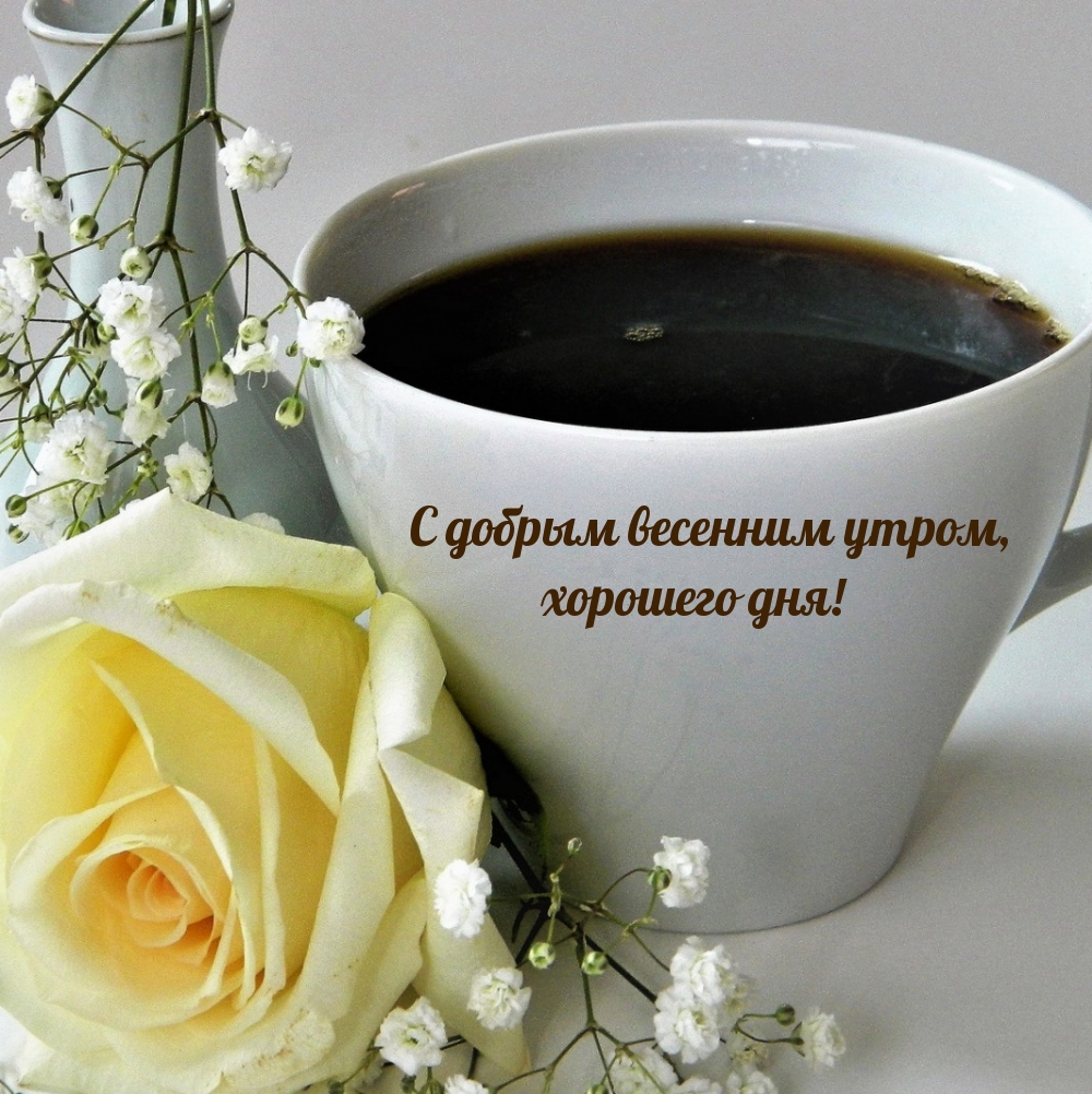 С добрым весенним утром, хорошего дня!