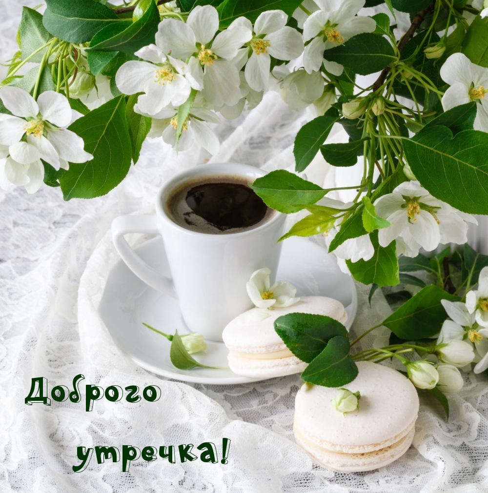 Доброго утречка!