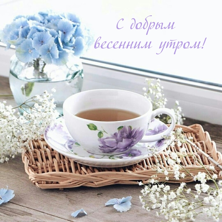 С добрым весенним утром!