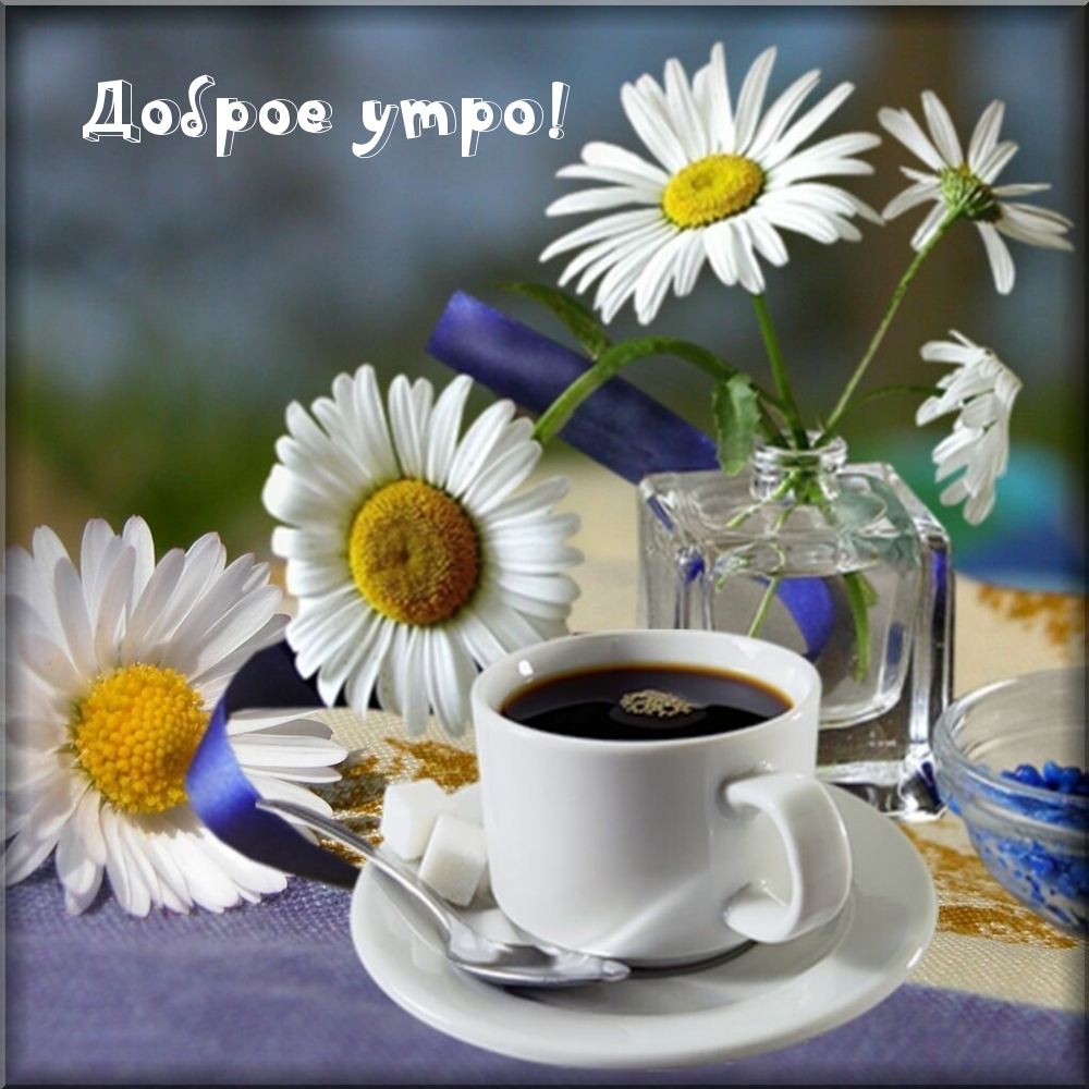 Доброе утро!
