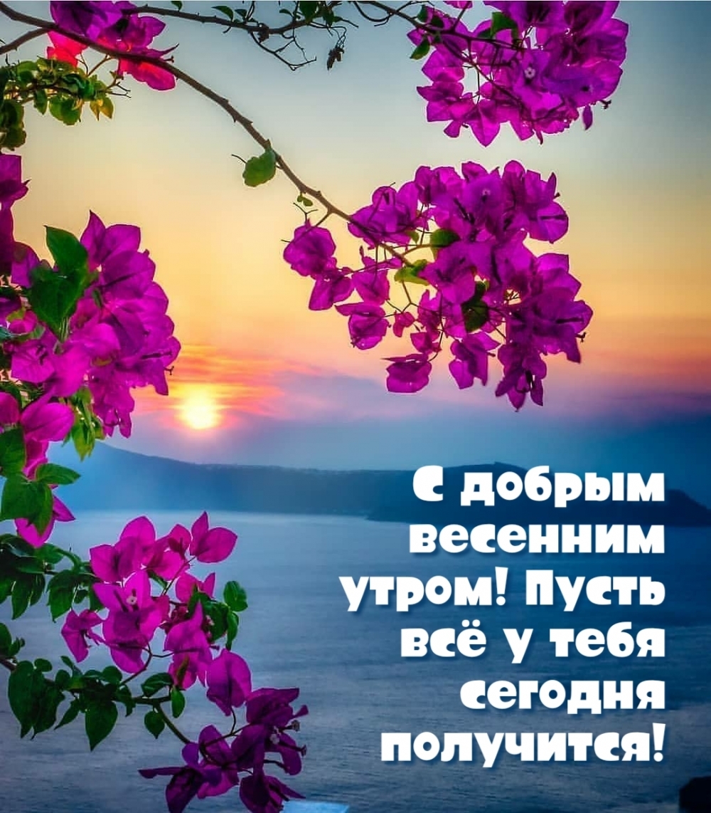 С добрым весенним утром! Пусть всё у тебя сегодня получится!