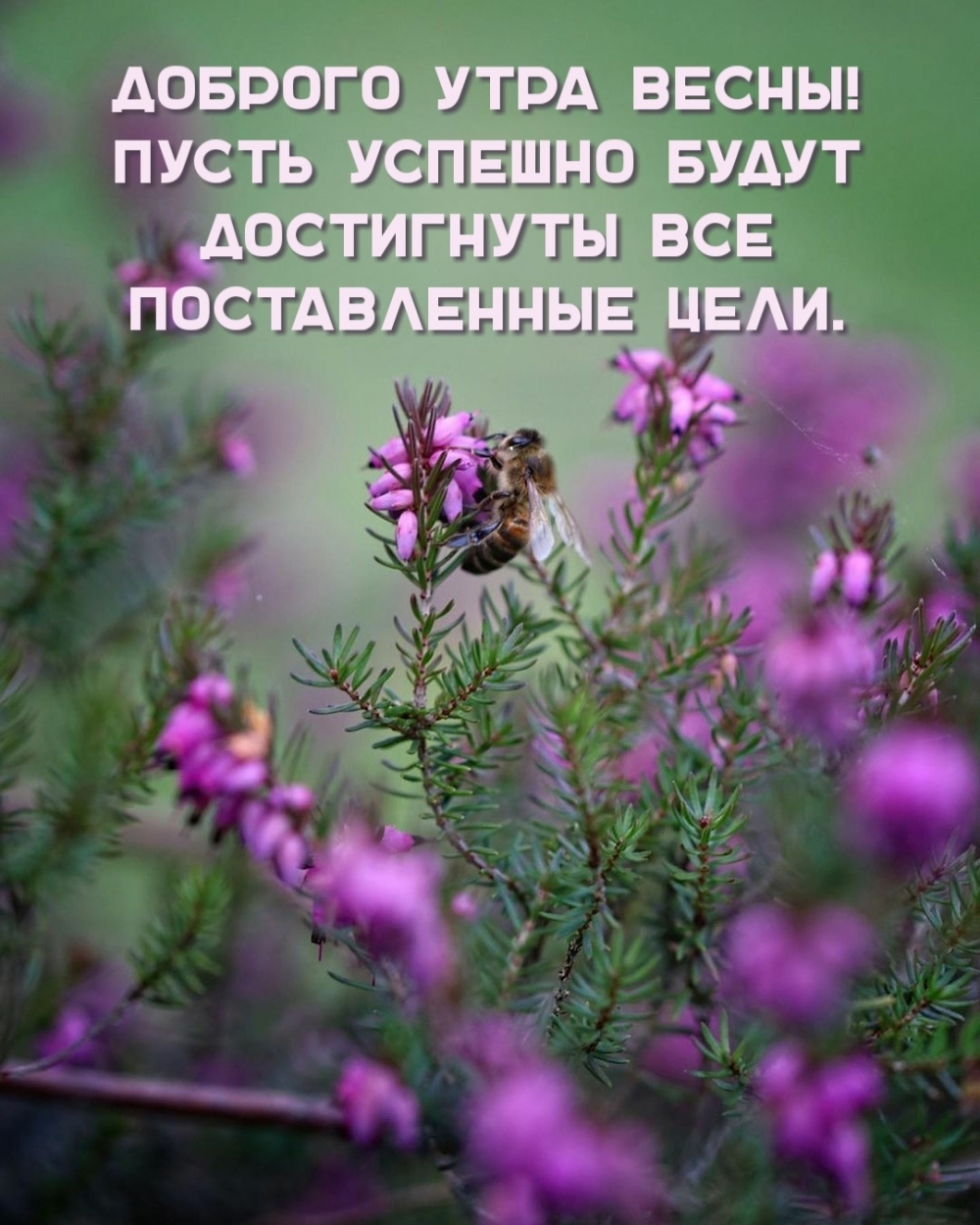 Доброго утра весы!