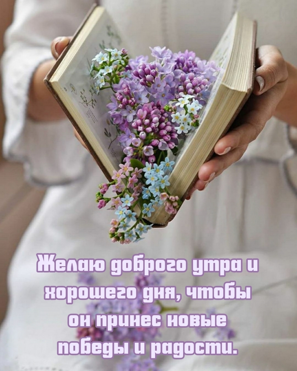 Желаю доброго утра и хорошего дня