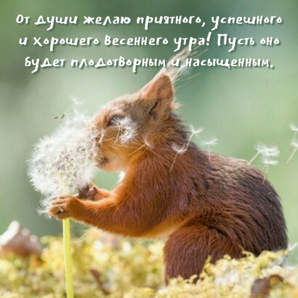 От души желаю приятного весеннего утра!