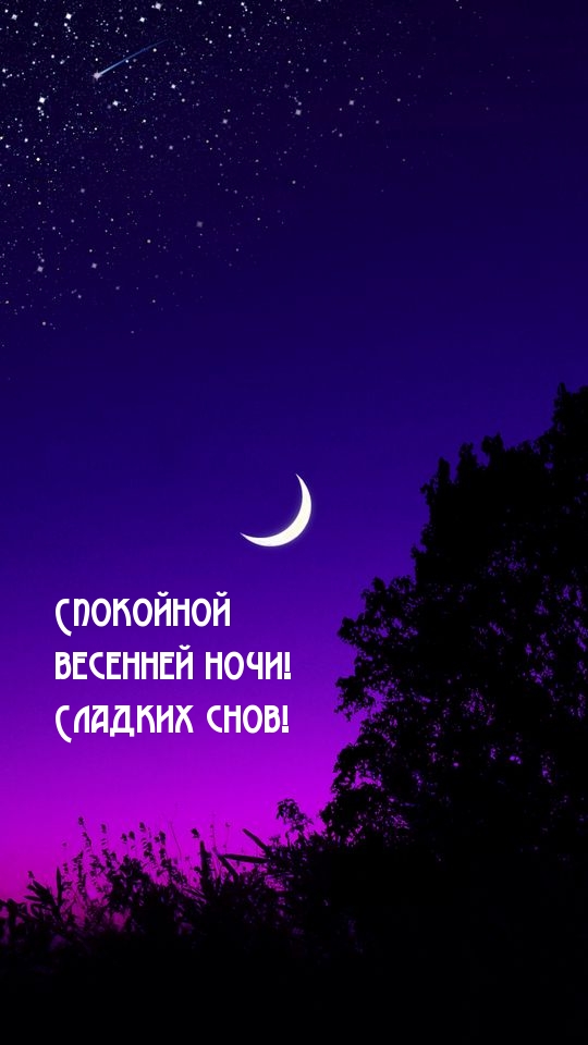 Спокойной весенней ночи! Сладких снов!