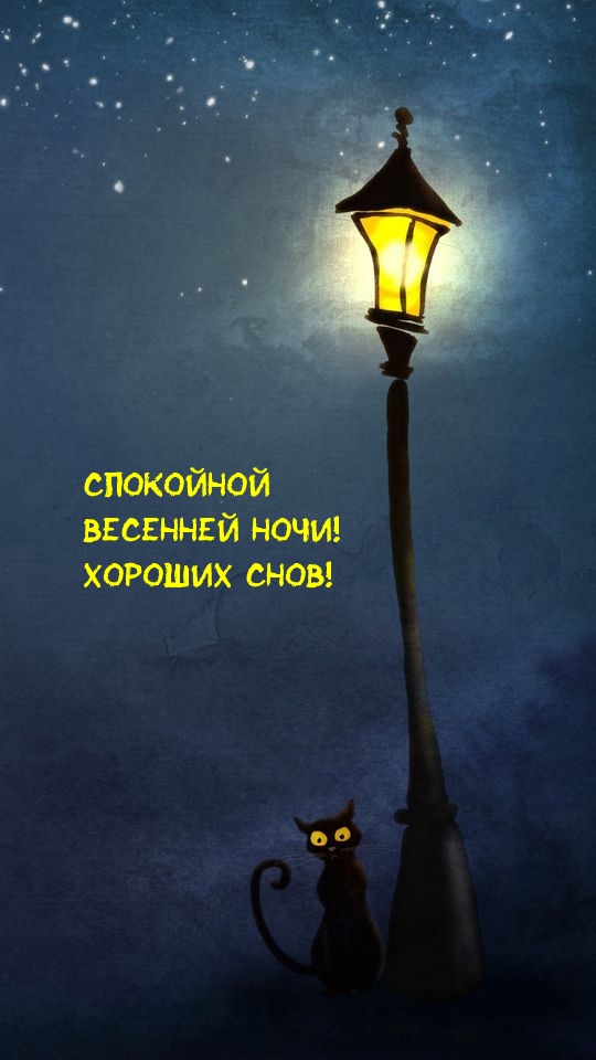 Спокойной весенней ночи! Хороших снов!