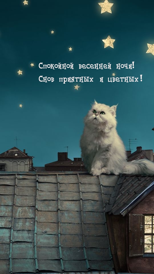 Спокойной весенней ночи! Снов приятных и цветных!