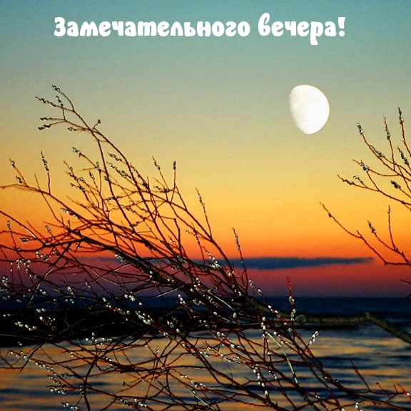 Замечательного вечера!