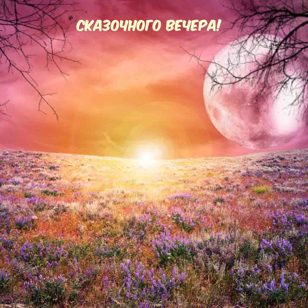 Сказочного вечера!