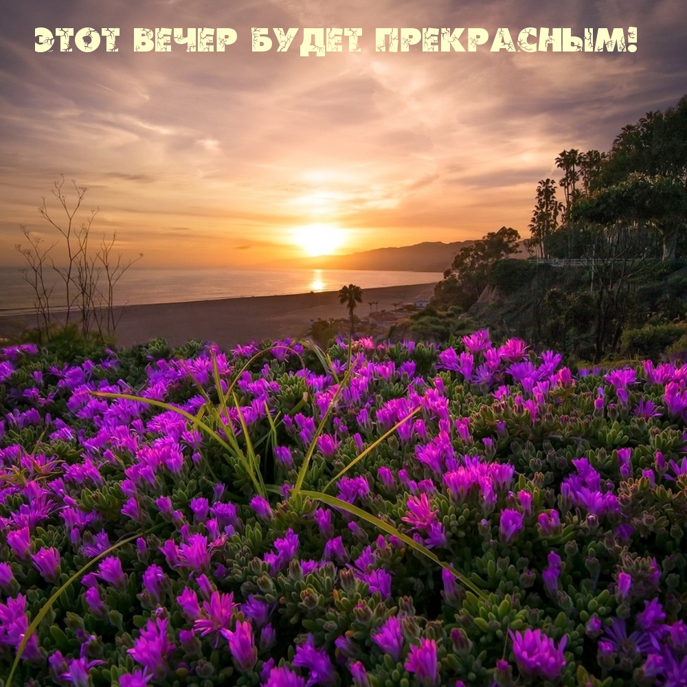 Этот вечер будет прекрасным!