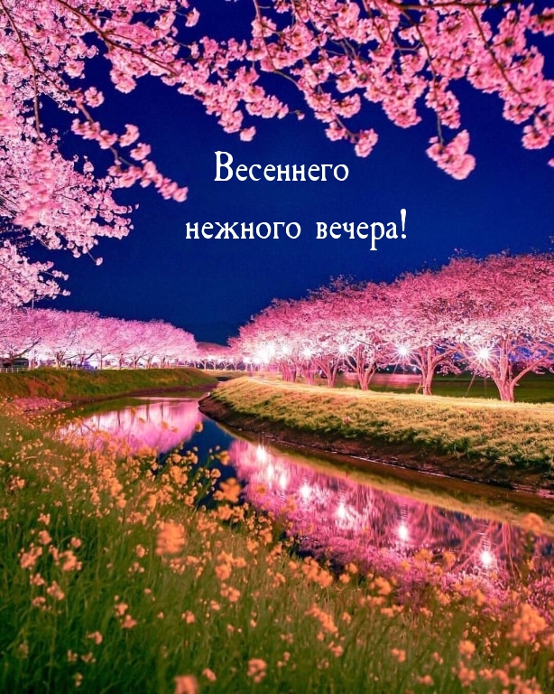 Весеннего нежного вечера!